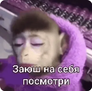 🌟 3db712cd Заюш на себя посмотри monyet, binatang, rusia, imut, lucu telegram sticker