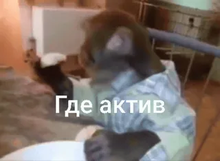 😜 5871a5be Где актив monyet, bisnis, hewan, meme, humor telegram sticker