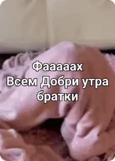🌟 906bc72c Фаааааах
Всем Добри утра
братки selamat pagi, salam, rusia, saudara, teks, meme telegram sticker