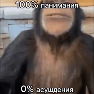 Больше стиков тут: @stikery4 telegram stickers