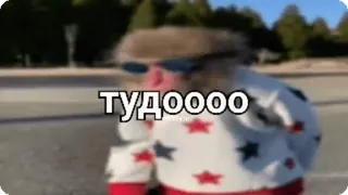 🌟 d6b7e2b3 ТУДОООО rusia, meme, lucu, teks, semua telegram sticker