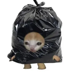 🖕 0198fefb gato, saco de lixo, engraçado, meme, animal, gatinho, triste, lixo telegram sticker