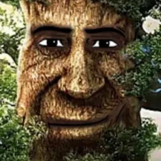 🤨 2230f033 árvore, rosto, natureza, madeira, retrato telegram sticker