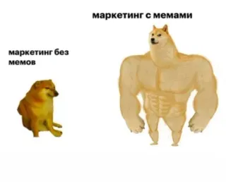 🐕 5b43defc маркетинг без мемов
маркетинг с мемами Meme, Pemasaran, Doge, Anjing, Lucu, Humor telegram sticker