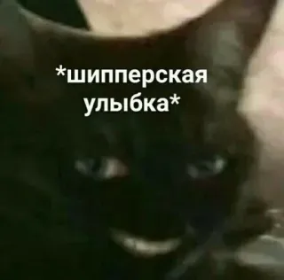 😁 5f2f781f *шипперская улыбка* cat, meme, shipping, text, animal, pet telegram sticker