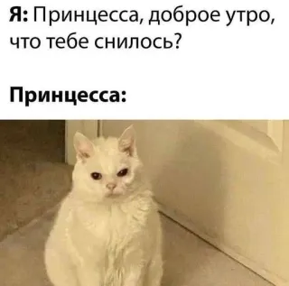 😑 9293dc7a Я: Принцесса, доброе утро, что тебе снилось?

Принцесса: chat, princesse, mème, drôle, animal whatsapp sticker