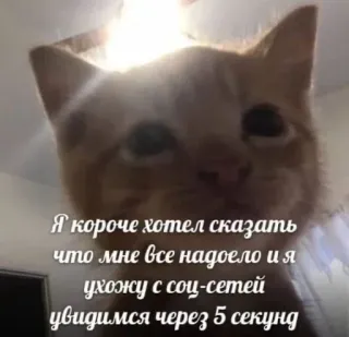 😁 b5178bdc Я короче хотел сказать
что мне все надоело и я
ухожу с соц-сетей
увидимся через 5 секунд chat, russe, réseaux sociaux, ennuyé, départ, message whatsapp sticker