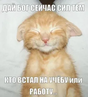 🙏 b616aa3f ДАЙ БОГ СЕЙЧАС СИЛ ТЕМ, КТО ВСТАЛ НА УЧЁБУ ИЛИ РАБОТУ... chat, russe, bonne chance, mème, motivation whatsapp sticker