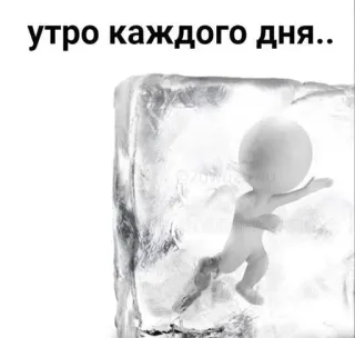 Больше стиков тут: @stikery4 telegram stickers