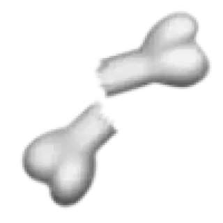 🦴 113f1c81 tulang, tulang, kerangka, anatomi telegram sticker