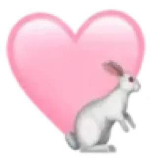 💓 a9fe2f26 hati, kelinci, binatang, merah muda, cinta telegram sticker