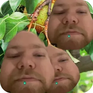 🙂 100754f4 ลูกแพร์, ผลไม้, หน้า, ภาพตัดปะ, ตลก, แปลก, ไร้สาระ telegram sticker