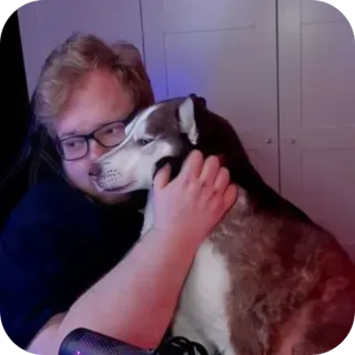 🐶 d07a16bd ผู้ชาย, หมา, ฮัสกี้, สัตว์เลี้ยง, สัตว์, มิตรภาพ, ความรัก telegram sticker