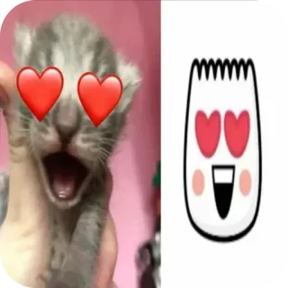 👍 1d58dc7d kätzchen, herzen, emoji, süß, liebe, haustier, katze, tier whatsapp sticker