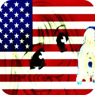 🚩 38a74b41 amerikanische Flagge, USA, Flagge, patriotisch, Vereinigte Staaten, Sternenbanner whatsapp sticker