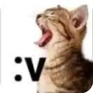 🖼 dbd5cc7e :V Katze, Tier, Meme, Emoji, Internet Slang, Tippkürzel whatsapp sticker