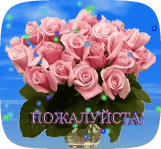 😙 e1df5264 ПОЖАЛУЙСТА! bloemen, rozen, boeket, groeten, roze, bloemen, aub telegram sticker