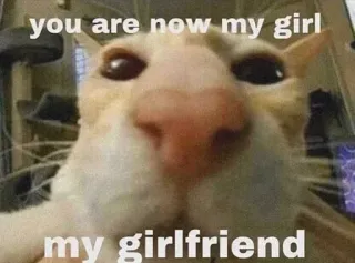 😘 fde3498f you are now my girl
my girlfriend chat, mème, drôle, animal de compagnie, animal, copine, humour telegram sticker