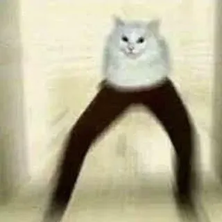 🦵 ff6e4ae5 chat, jambes, mème, animal, drôle, animal de compagnie telegram sticker