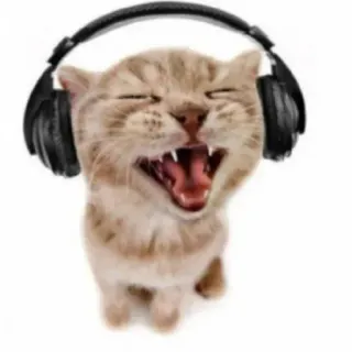 😂 28239a7b gato, fones de ouvido, animal, música, fofo telegram sticker