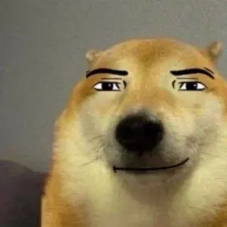😂 a571b4a9 doge, cachorro, meme, engraçado, sobrancelhas, roblox telegram sticker