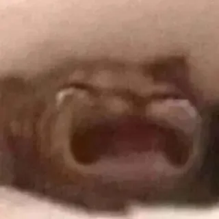 😂 c927b618 telegram sticker