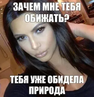 🌟 90f49ac7 ЗАЧЕМ МНЕ ТЕБЯ ОБИЖАТЬ?
ТЕБЯ УЖЕ ОБИДЕЛА ПРИРОДА 表情包, 搞笑, 侮辱, 幽默, 肖像, 金·卡戴珊 whatsapp sticker