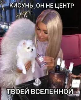 🌟 bf16bd31 КИСУНЬ ,ОН НЕ ЦЕНТР
ТВОЕЙ ВСЕЛЕННОЙ 女人, 狗, 宠物, 香水, 奢侈品, 美容, 魅力 whatsapp sticker