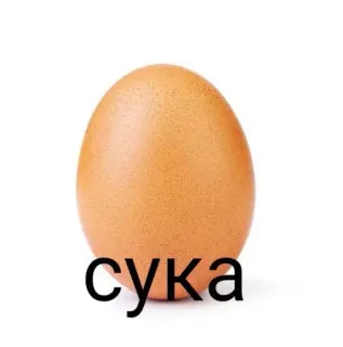 🤩 7877d6d5 сука egg, insult, russian, offensive, curse word telegram sticker