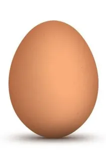 🤩 895c021c egg, food, organic, poultry, breakfast, ingredient, cooking, raw telegram sticker