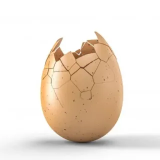 🤩 d9b6552e egg, eggshell, cracked, broken, shell, food telegram sticker