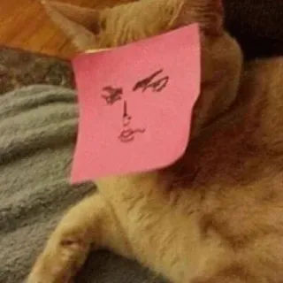 😏 8f51bcca chat, post-it, dessin visage, animal de compagnie, drôle, mème telegram sticker