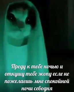 🔪 695ce4c5 Преду к тебе ночью и
откушу тебе жопу есле не
пожелаешь мне спокойной
ночи севодня gato, fantasma, noche, amenaza, divertido telegram sticker