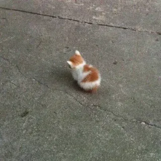 😡 bd4725af gatito, gato, animal, mascota, pequeño, lindo telegram sticker