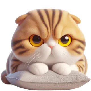 😠 5d824a89 gato, gatinho, fofo, animal, animal de estimação, gato doméstico, peludo whatsapp sticker