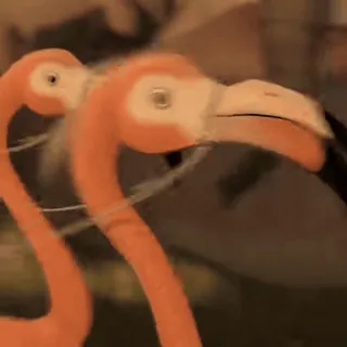 Больше стиков тут: @stikery4 telegram stickers