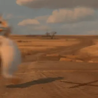 🤩 e33fbc18 telegram sticker