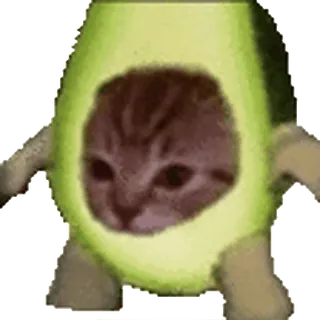 🐈 07a9e520 cat, avocado, animal, funny, costume, kitten telegram sticker