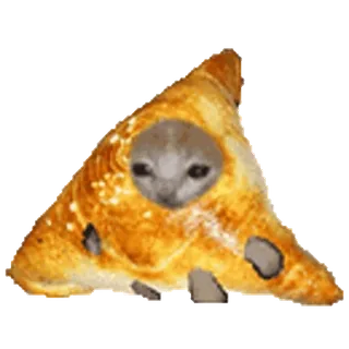 🐈 1b4c5f71 cat, pizza, meme, animal, funny, cute telegram sticker