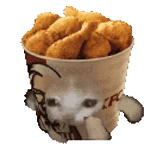 🐈 2b2e4445 KFC, chicken, meme, cat, bucket, fast food, funny telegram sticker