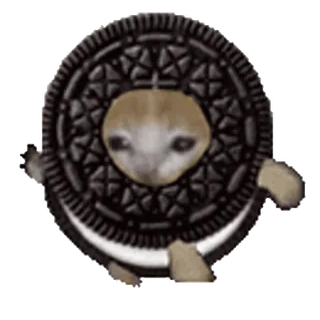 🍪 8a666936 cat, oreo, meme, cookie, funny, cute, animal telegram sticker