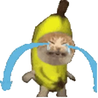 🐈 f16544e6 cat, banana, crying, sad, fruit, animal, meme telegram sticker