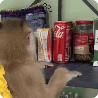 🪷 0c3da24a ?? macaco, pontos de interrogação, confusão, animal, bebida, coca-cola telegram sticker