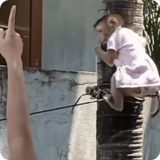 🪷 0eaed199 dedo do meio, gesto ofensivo, macaco, animal, rude, gesto, mostrar o dedo do meio telegram sticker