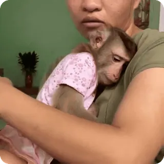 🪷 1fbf515b telegram sticker