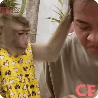 Больше стиков тут: @stikery4 telegram stickers