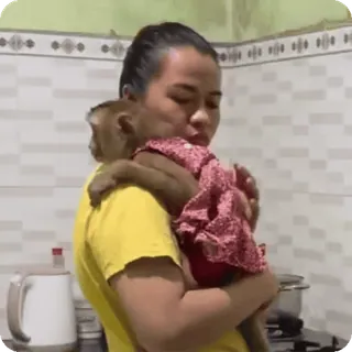 🪷 570625e5 mulher, macaco, vestido, cozinha, animal, animal de estimação, fofo, afeição telegram sticker