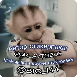 🪷 75fd2f2d Автор стикерпака:
@I44_AVTOBUS
Моё инфо и другие стикерпаки:
@BIO_I44 macaco, pacote de adesivos, filhote telegram sticker