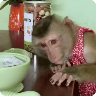 Больше стиков тут: @stikery4 telegram stickers