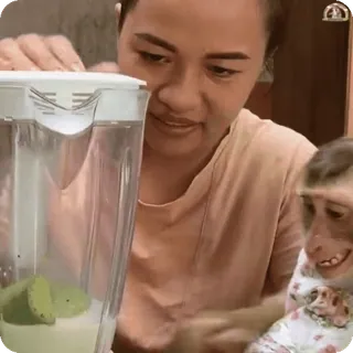 Больше стиков тут: @stikery4 telegram stickers